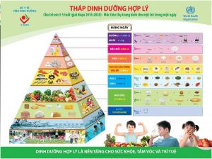 Tháp dinh dưỡng